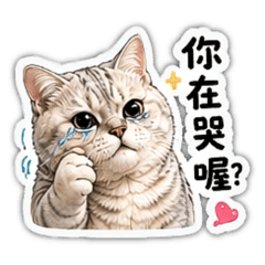 Ori駕到：社會喵一身反骨