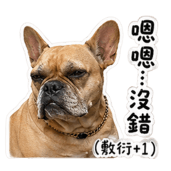 哺哺日常生活