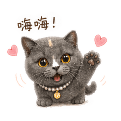 小公主皮蛋寶寶
