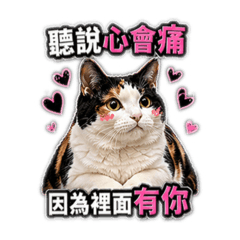 卓豆花