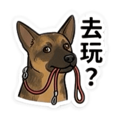 我是調皮搗蛋波