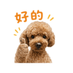 Qbee日常生活篇