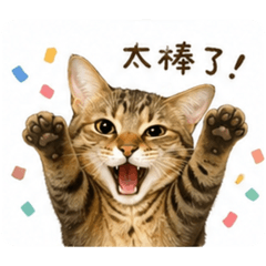 我是八條