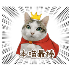 陳波吉