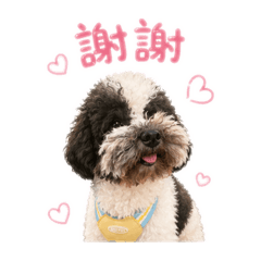 史努比的日常篇
