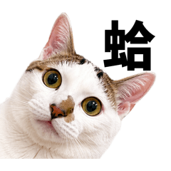 張漢森汪汪叫