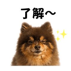 排排p.2