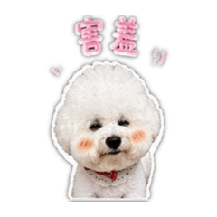 MIU寶合輯♡3