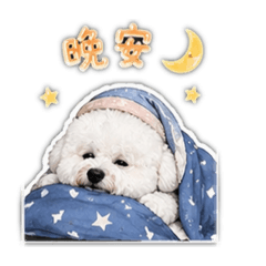 MIU寶合輯♡2