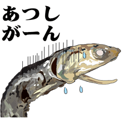 Dried sardine 001