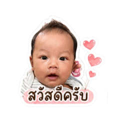 Aom_20260428121528