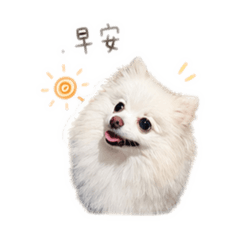 Yuumu154_20260428020357
