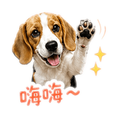 小米格魯