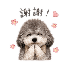 花灰貴賓-生活版