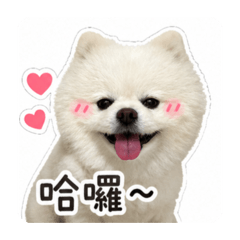 多多Do Do