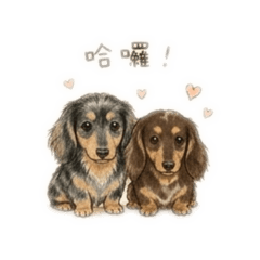 汪汪腸