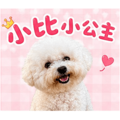 小比 小公主