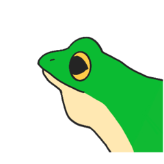 wojtek_20260428104911