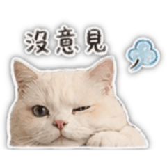 咪嚕ㄚ咪嚕2