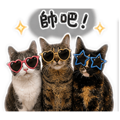 勝利肆小寶