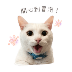 QBao & Haku