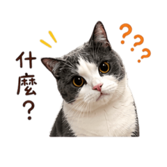 咪嚕の日常實用用語2
