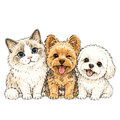 Pets123123