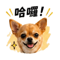 吉～生活用語