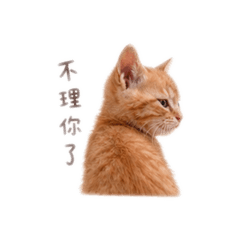 啊咔