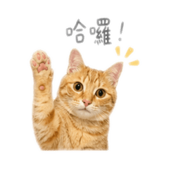 賣饅頭哩