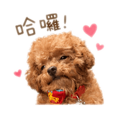 成交了