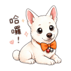 紀念最愛的仔仔