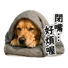 社畜紅燒