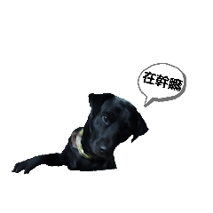 Don't use a black background