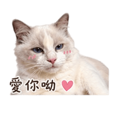 泡芙戀愛了