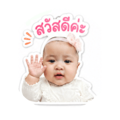Puping_20260428121013