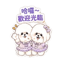 棉花糖比熊姐妹｜網拍賣家篇