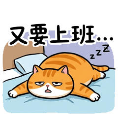 橘貓溜溜