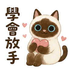 暹羅貓小可 學會放手篇