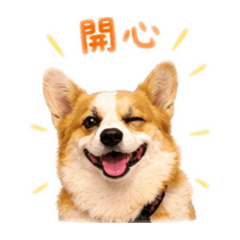 烤布蕾Q版～
