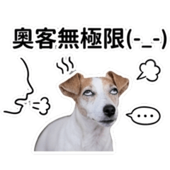 可愛狗Cookie藥劑師篇