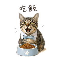 幼兒期墨