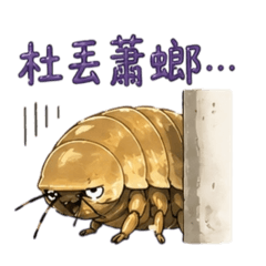 杜丟蕭螂2