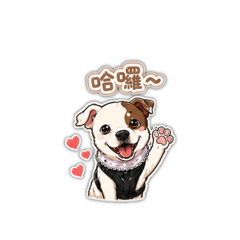 Milu日常實用篇♡