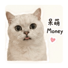叭叭博一