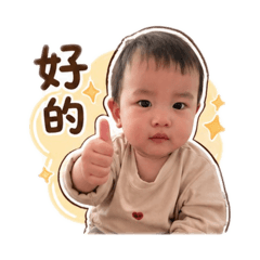 皮皮丸