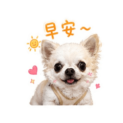 吉襪襪是隻貓1 （吉安安篇）