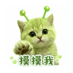 療癒外星小貓
