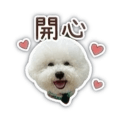 吃貨小狗