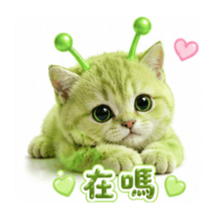 療癒外星小貓（2）